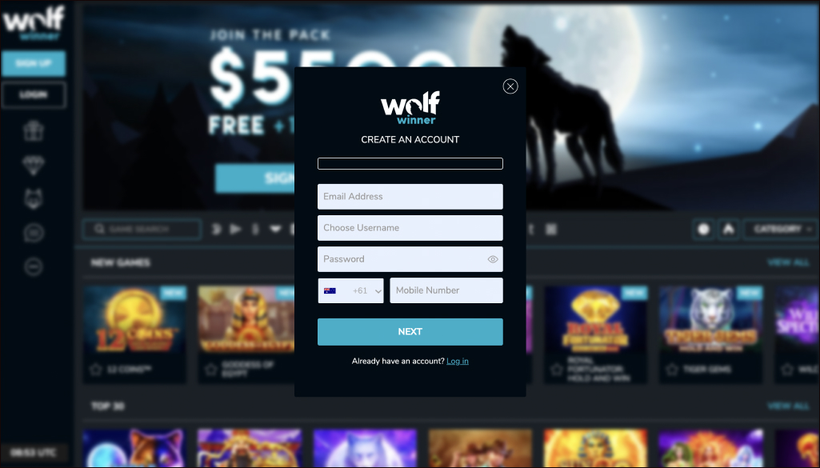wolf winner Gameplay